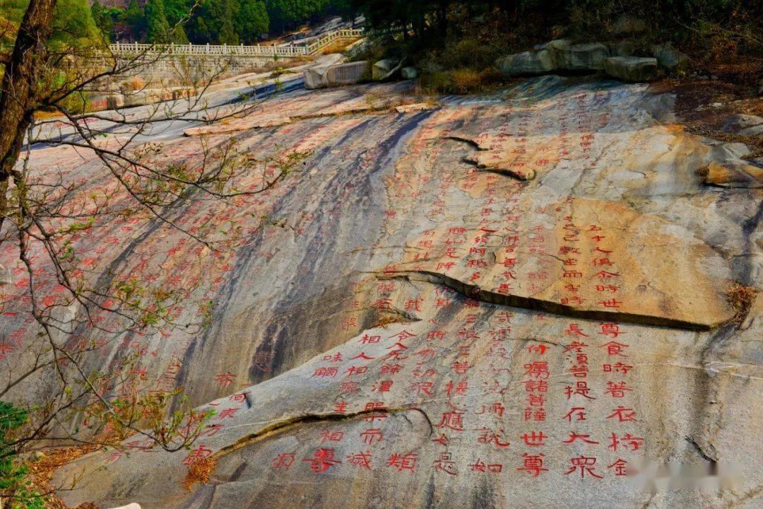 朝阳区跨国公司地区总部增至155家